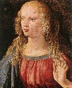 LEONARDO da Vinci Annunciation (detail) dfe oil on canvas